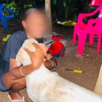 TikTok Account - __tasha__.02