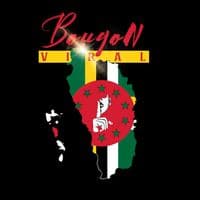 TikTok Account - bouyonviral