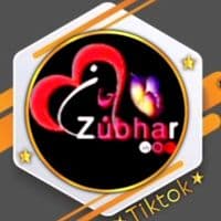 TikTok Account - zubairjhan6