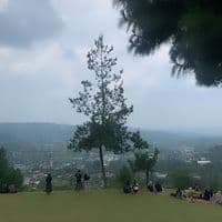 TikTok Account - melss36