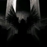 TikTok Account - .taha33666666