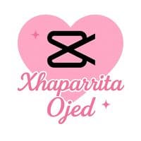 TikTok Account - plantillascut2