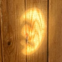 TikTok Account - nastya7620491441477