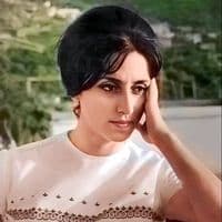 TikTok Account - fairouz.fm
