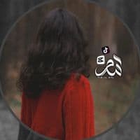 TikTok Account - il.07l