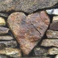 TikTok Account - ipo_1233