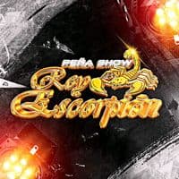 TikTok Account - p_show_rey_escorpion