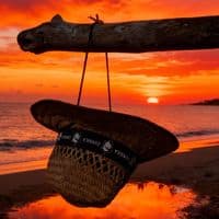 TikTok Account - 267.nwg