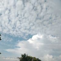 TikTok Account - yu.yu.my82