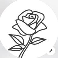 TikTok Account - 4wwqr