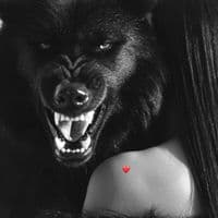 TikTok Account - dink0607