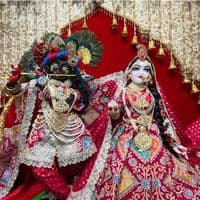 TikTok Account - shyamdiwani353