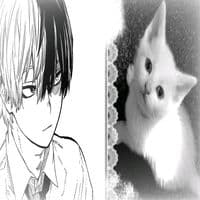 TikTok Account - nali78080