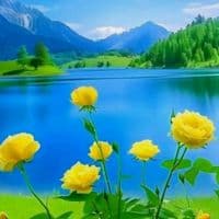 TikTok Account - aadanbocor1