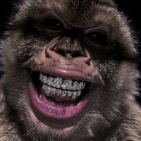 TikTok Account - dadjii299