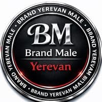 TikTok Account - brandmaleywrevan