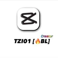 TikTok Account - t.zi789