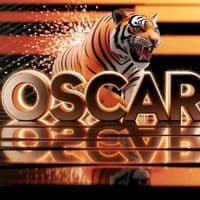 TikTok Account - user66181982166863