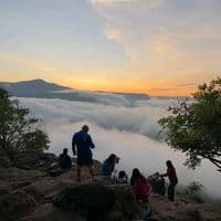 TikTok Account - misma_sintonia1