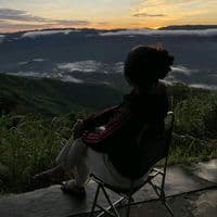 TikTok Account - hannyh77