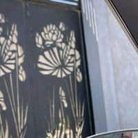 TikTok Account - ciorooms