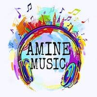 TikTok Account - amine_music7