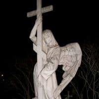 TikTok Account - adic.ion