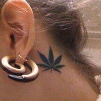 TikTok Account - qera037