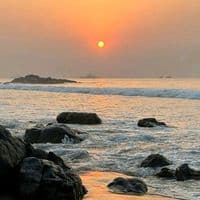 TikTok Account - itsmealonara