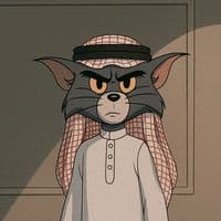 TikTok Account - solar77806