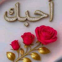 TikTok Account - user784275926363526