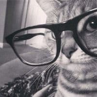 TikTok Account - dachaawq