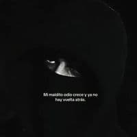 TikTok Account - musicas___507