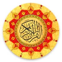 TikTok Account - r_usman007