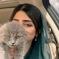 TikTok Account - heyam.5