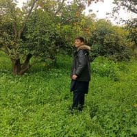 TikTok Account - shahankhan623