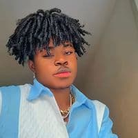 TikTok Account - alvinboy421