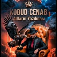 TikTok Account - qemginsen