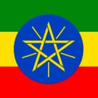 TikTok Account - gemeda.amg