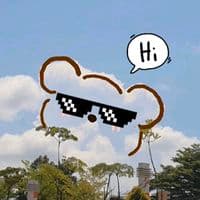 TikTok Account - nayeon0721