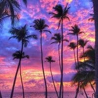 TikTok Account - chiiiiroooo