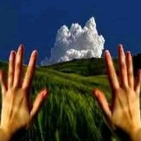 TikTok Account - bybububybub