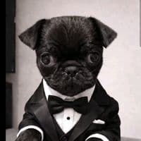 TikTok Account - legna8043