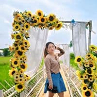 TikTok Account - pajntaub23