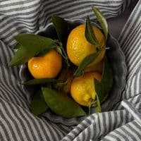 TikTok Account - _esmee25