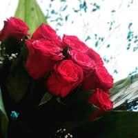 TikTok Account - seyma_____33