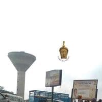 TikTok Account - papalantomedia