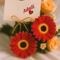 TikTok Account - adali.888