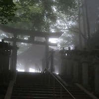 TikTok Account - yuukk0o