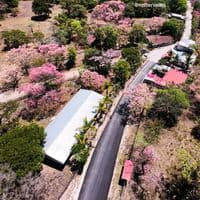 TikTok Account - alisson.campos50